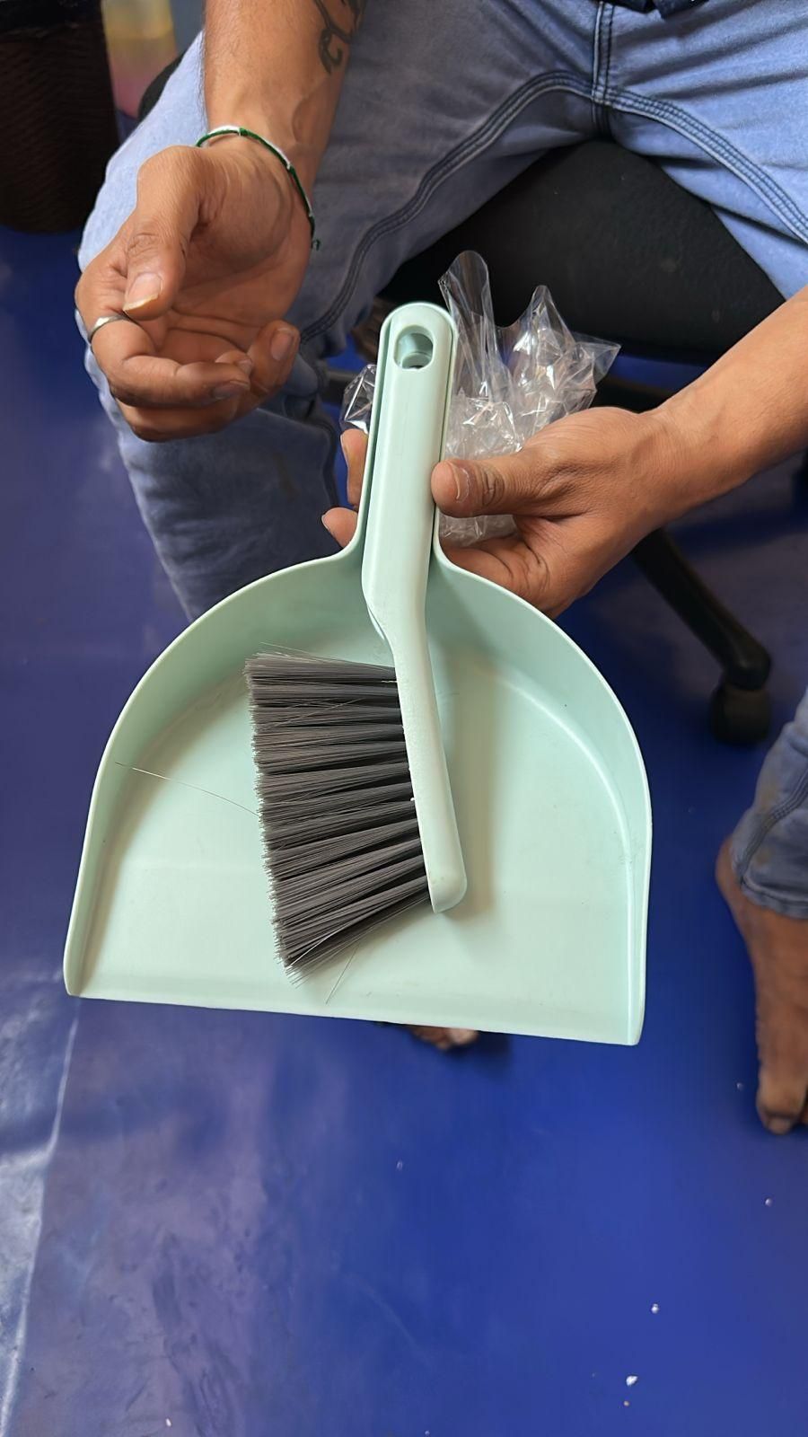 Mini Dustpan and Brush Set